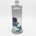 Kitten Diaphonised Genuine Wet Specimen Tall Jar