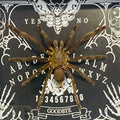 Ouija Framed Tarantula Specimen