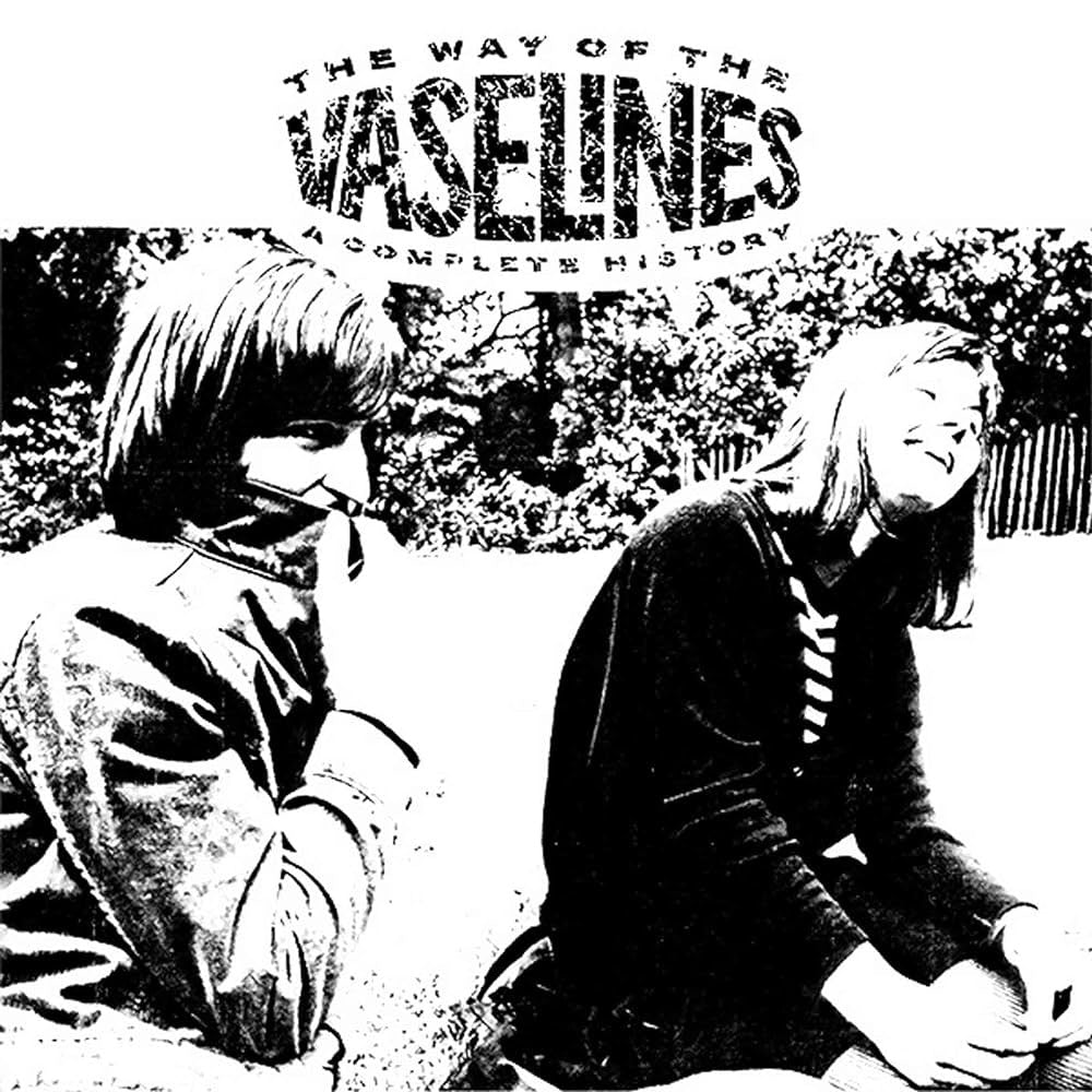 VASELINES (THE) The Way Of The Vaselines: A Complete History CD (1992)