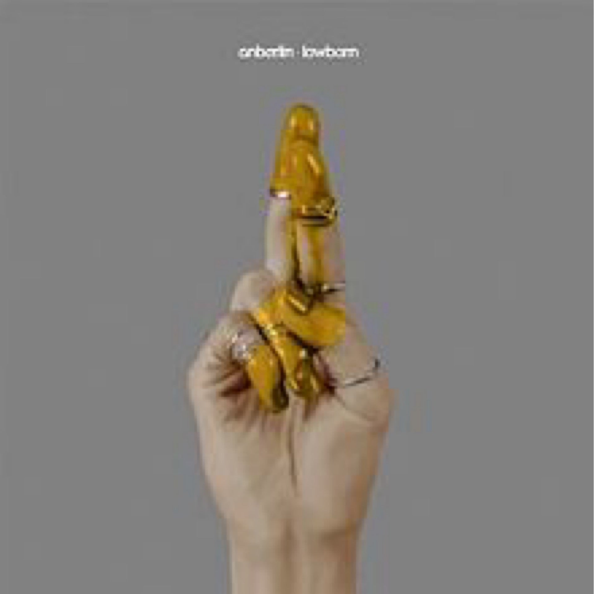 ANBERLIN Lowborn (2014) CD