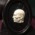 Anatomy Frame Glow in Dark Profile