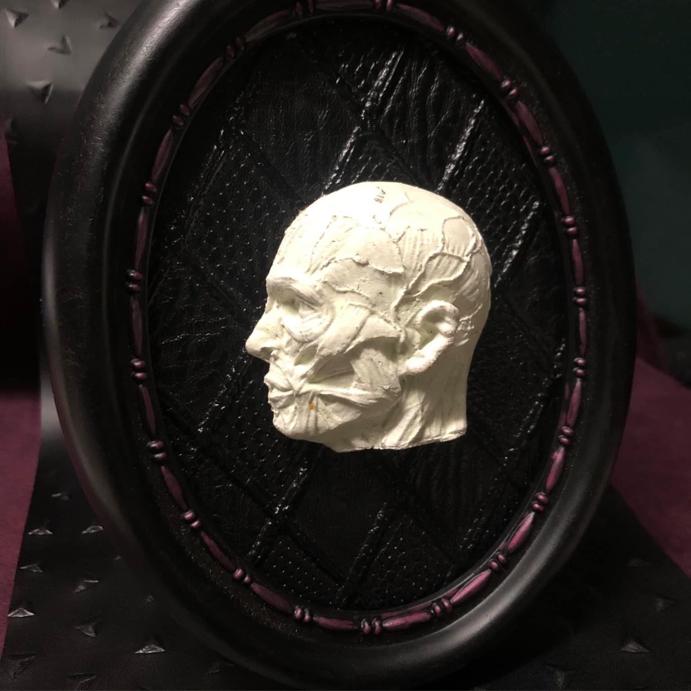 Anatomy Frame Glow in Dark Profile