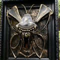 Wall hanging Bone Specimen Art - Butterfly