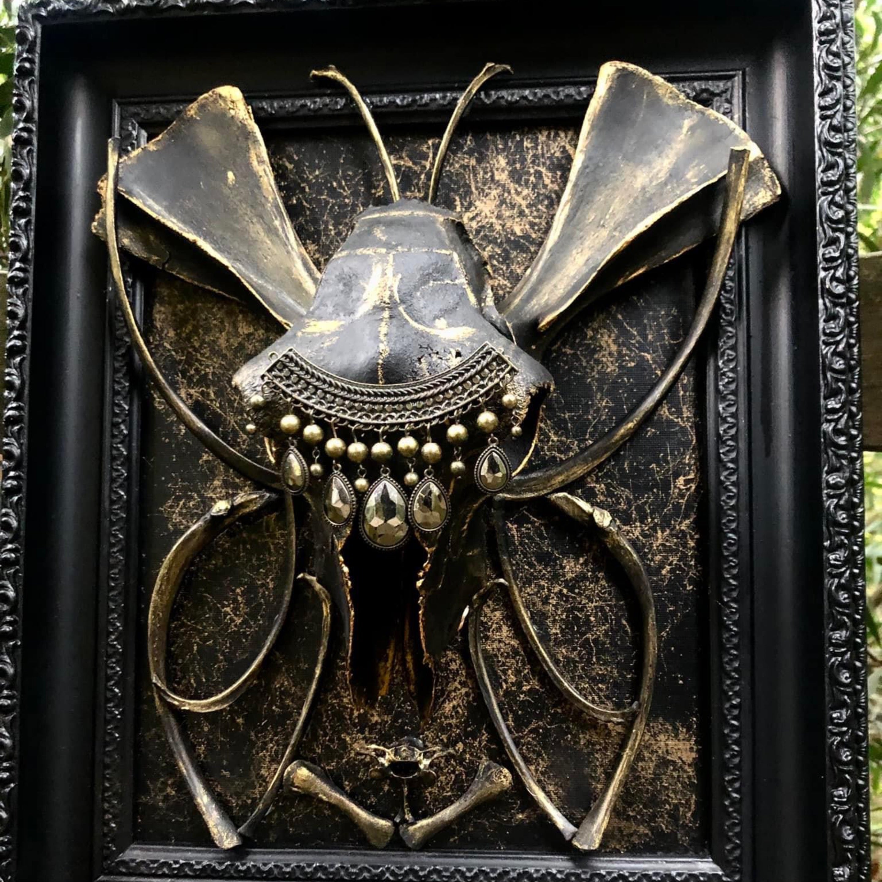 Wall hanging Bone Specimen Art - Butterfly