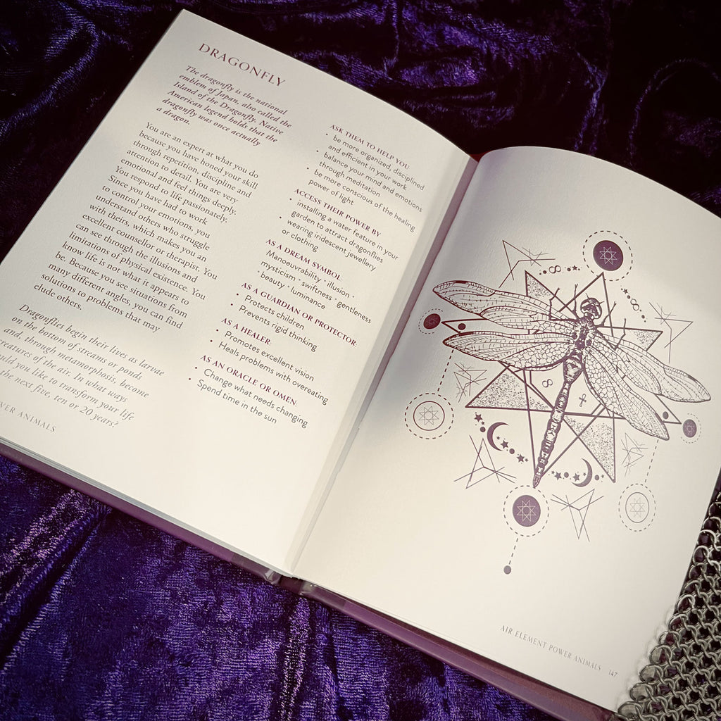 Power Animals Book