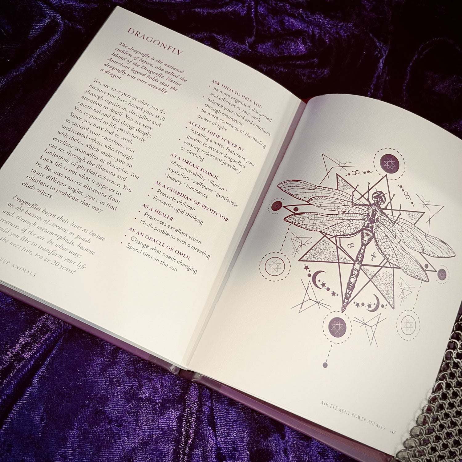 Power Animals Book