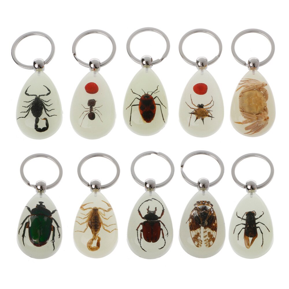 Specimen Keyring