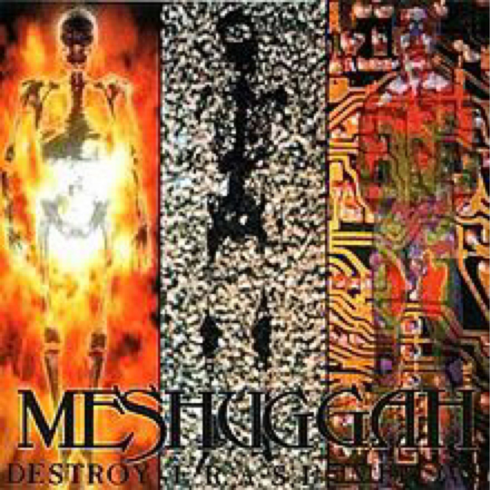 MESHUGGAH Destroy Erase Improve CD (1995)