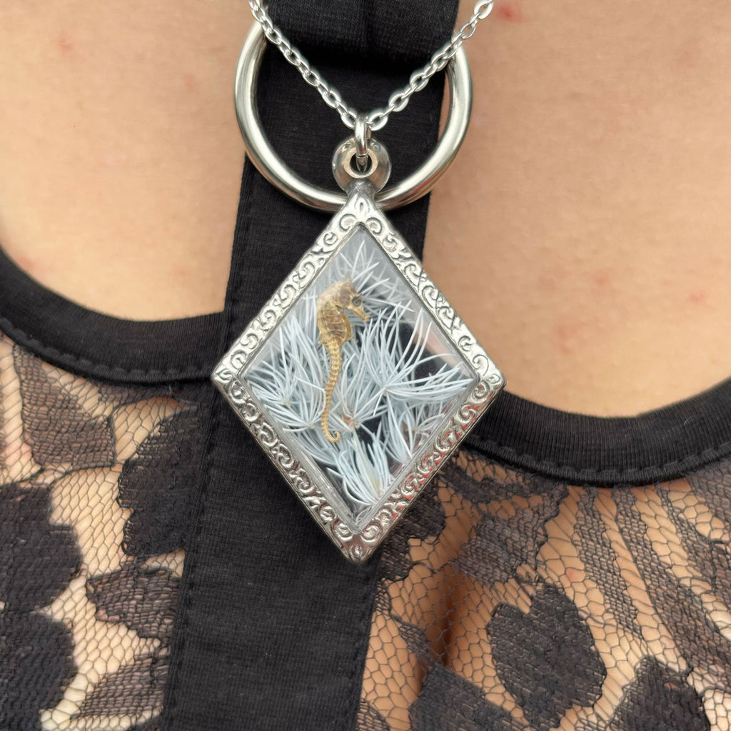Veil of Seahorse Genuine Specimen Necklace