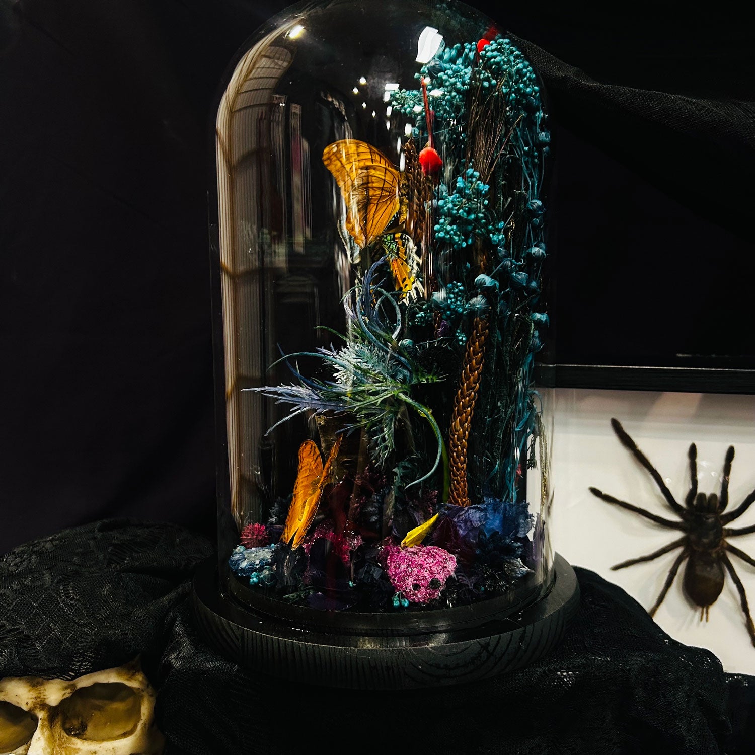 Madagascan Moth and Butterfly Genuine Specimen Curiosity Dome