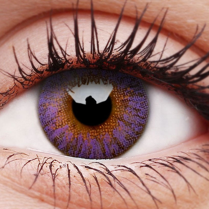 Violet TruBlends Purple Contact Lenses