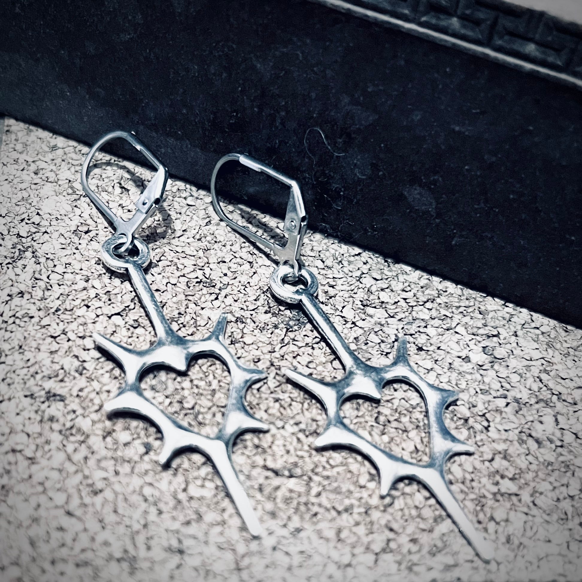 Crisium Thorned Heart Earrings