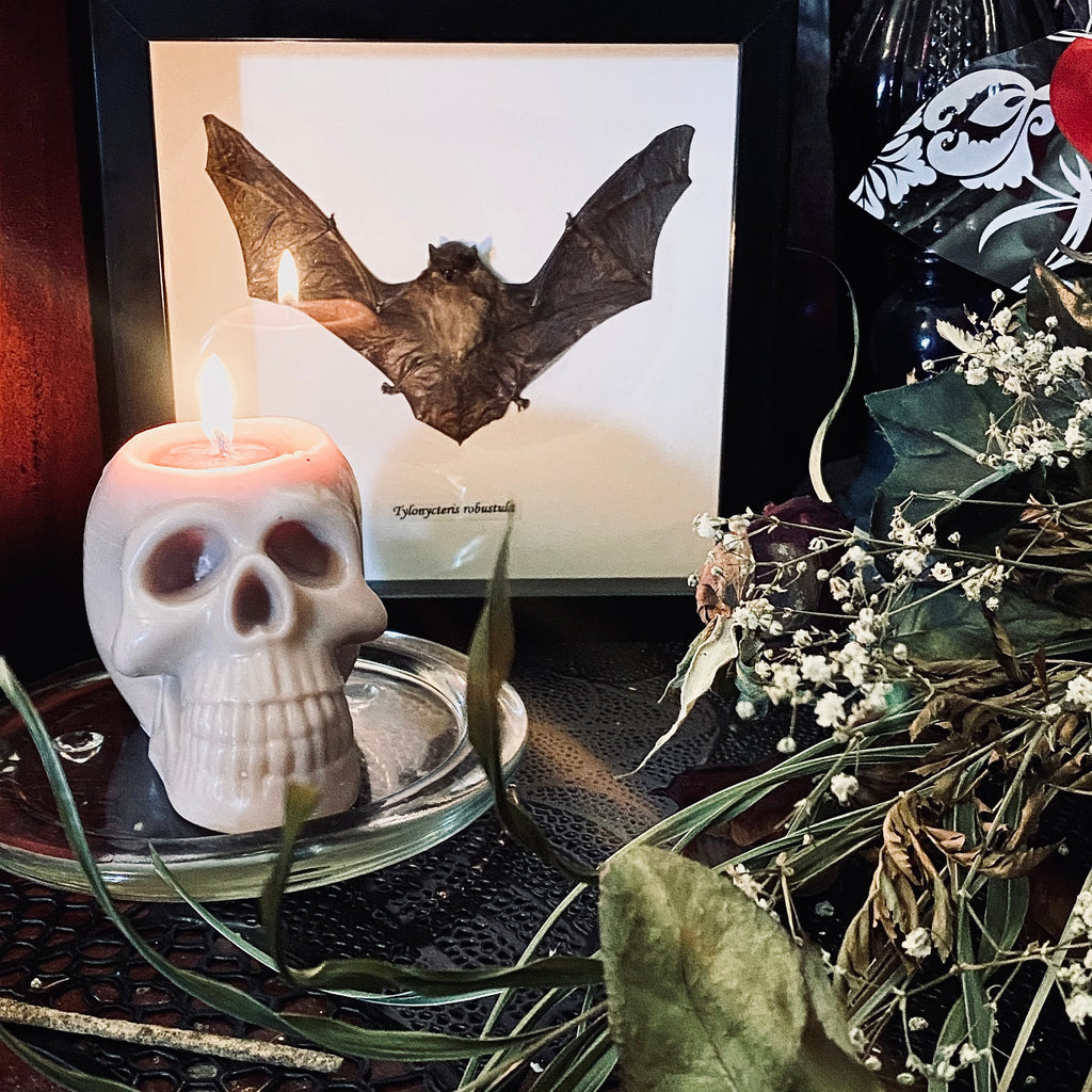 Skull Soy Wax Candle