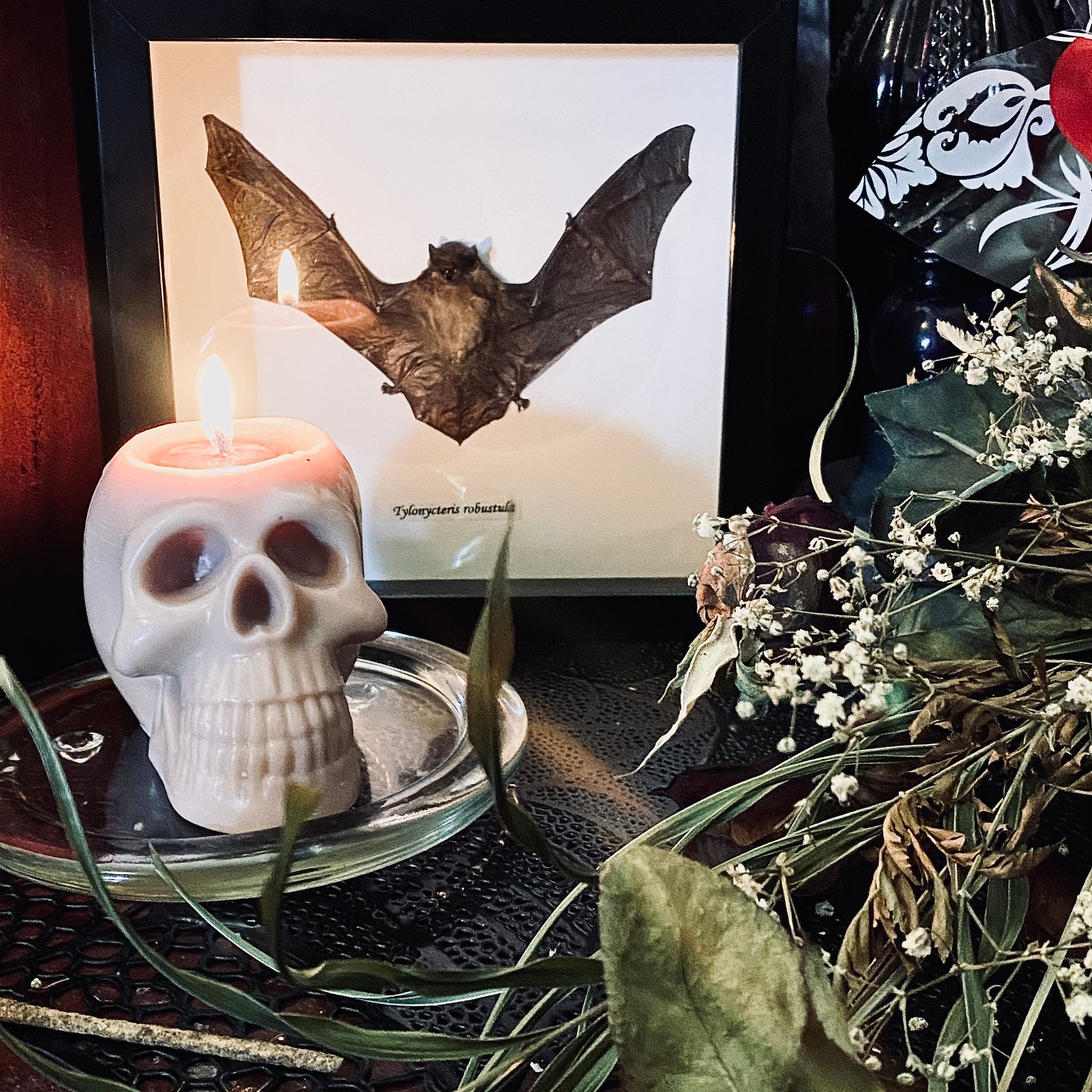 Skull Soy Wax Candle