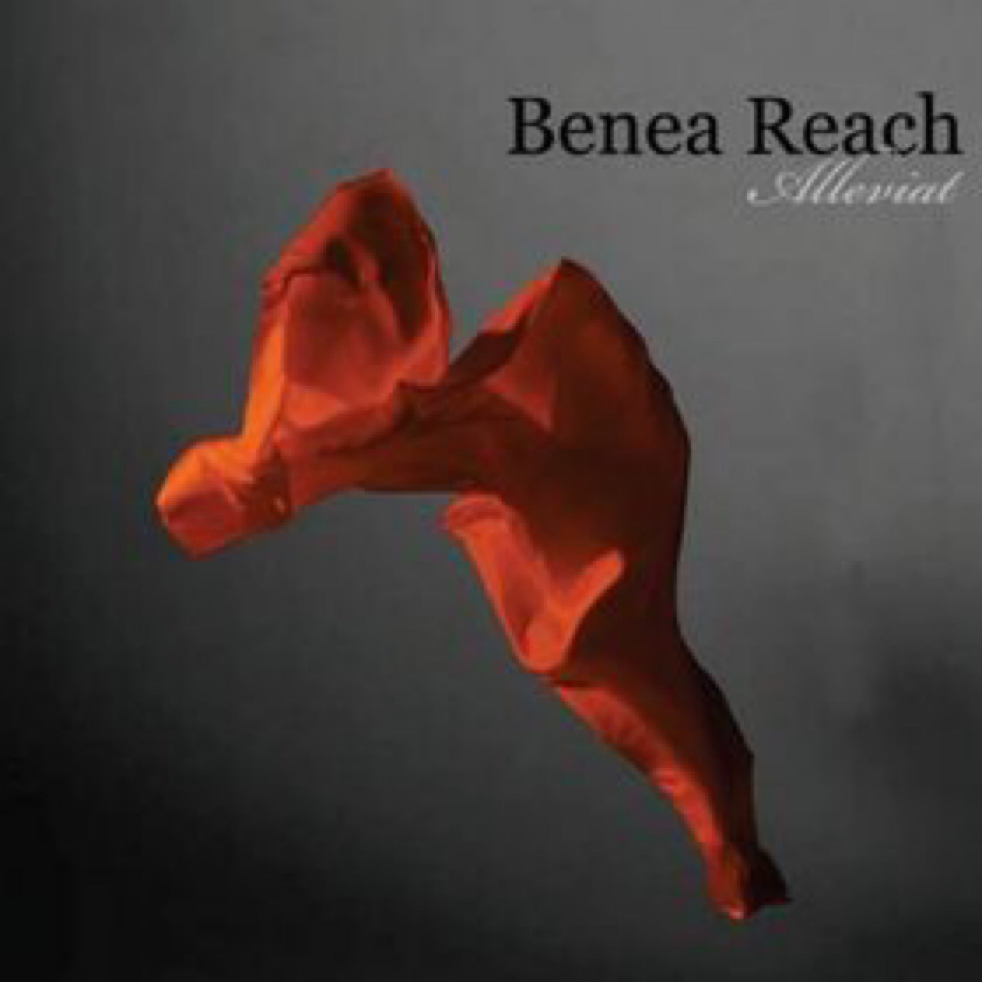 BENEA REACH Alleviat (2008) CD