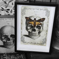 Death's Head Hawkmoth Skull Framed Specimen