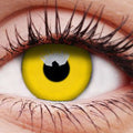 Yellow Contact Lenses