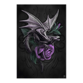 Anne Stokes Dragon Beauty Poster 292
