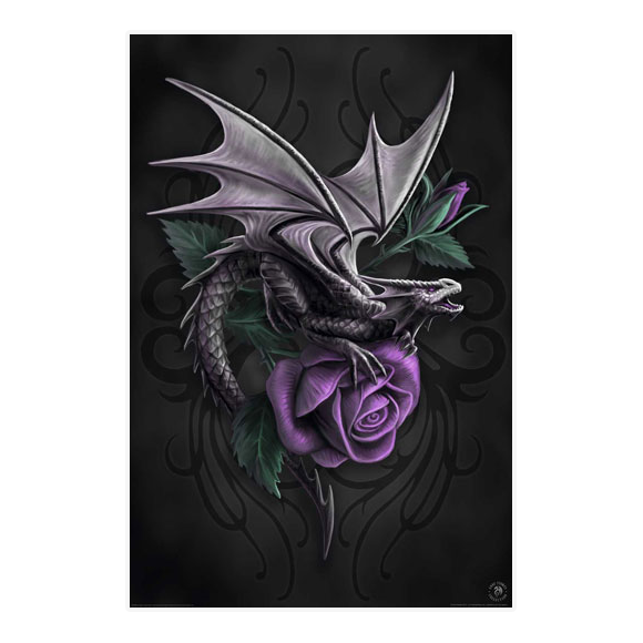Anne Stokes Dragon Beauty Poster 292