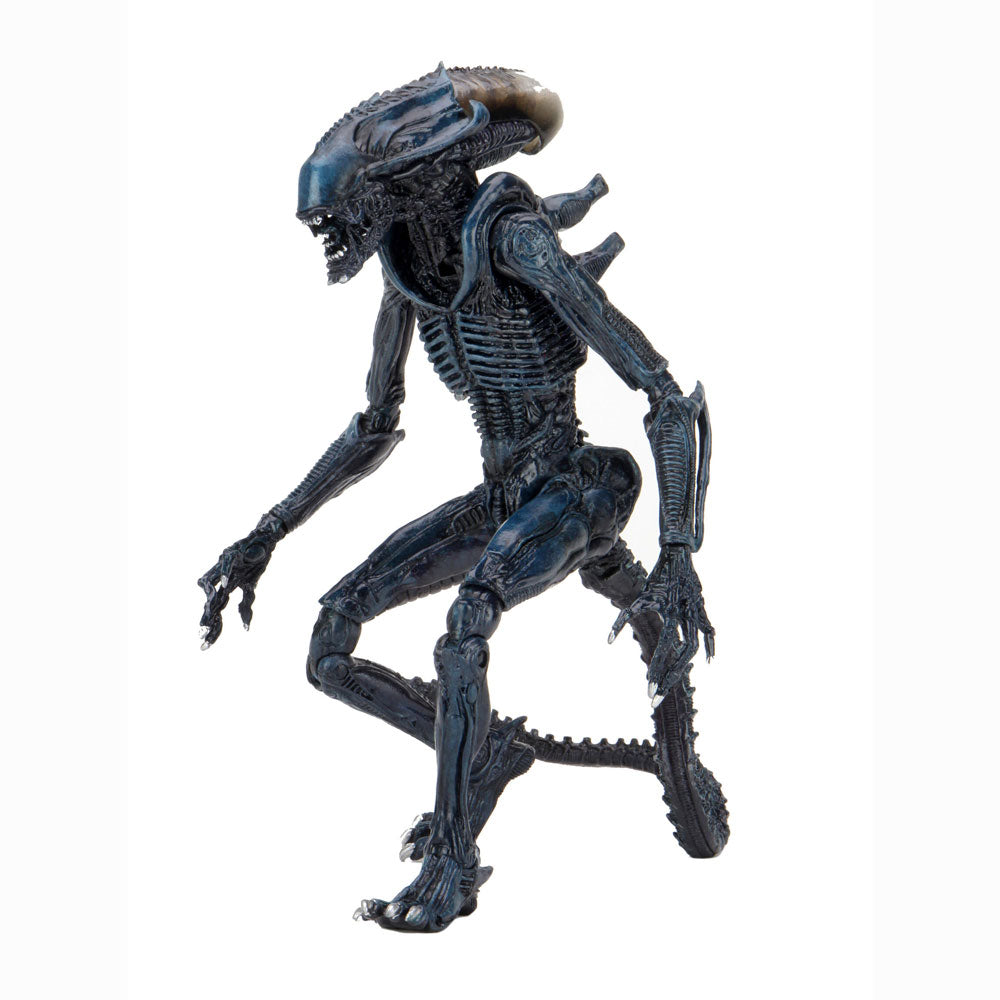 Aliens Arachnoid Alien Vs Predator 7" Action Figure