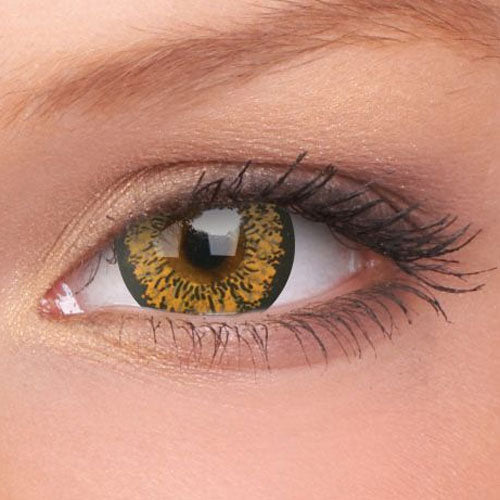 Nutella Brown Contact Lenses