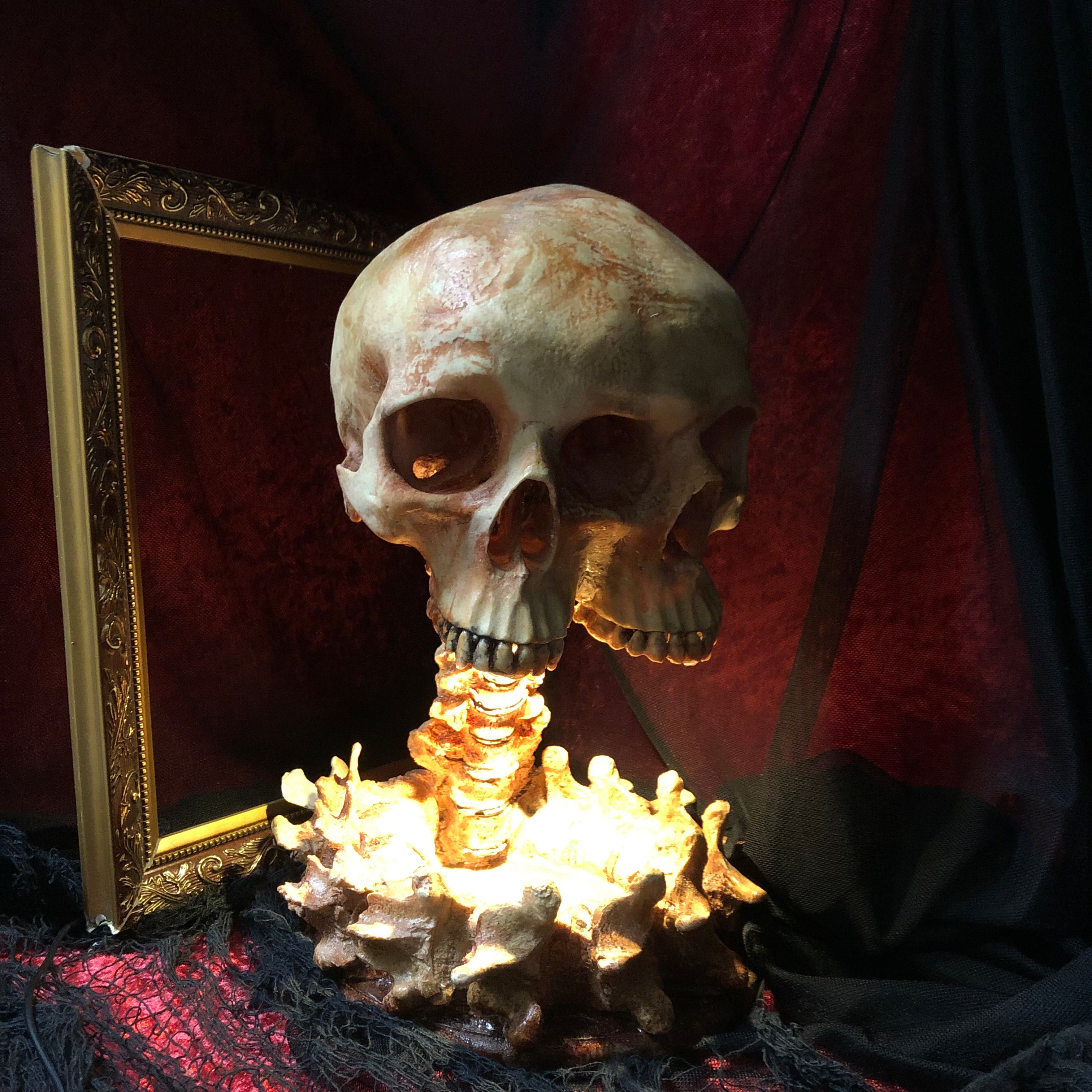 Death's Stare Skull Lamp