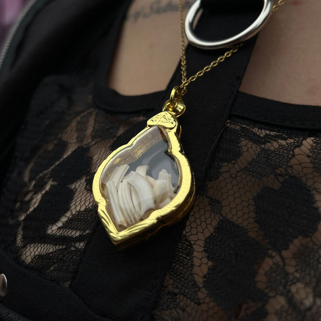 Rabbit Teeth Genuine Specimen Necklace