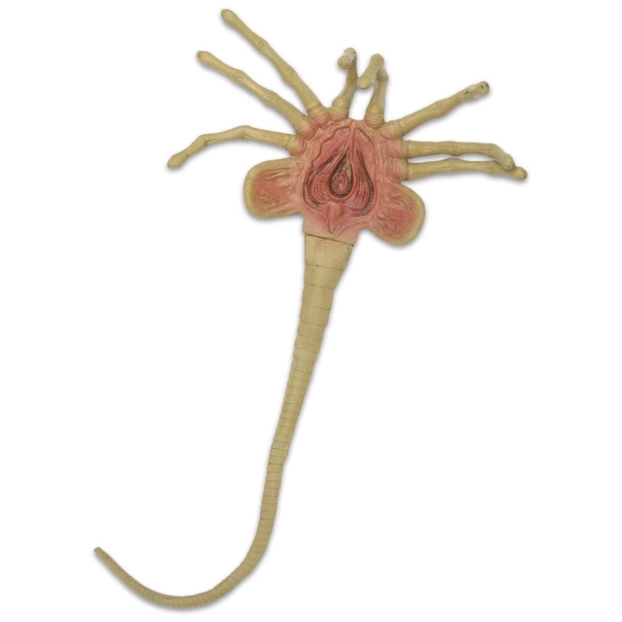 Alien Life Size Facehugger Foam Replica