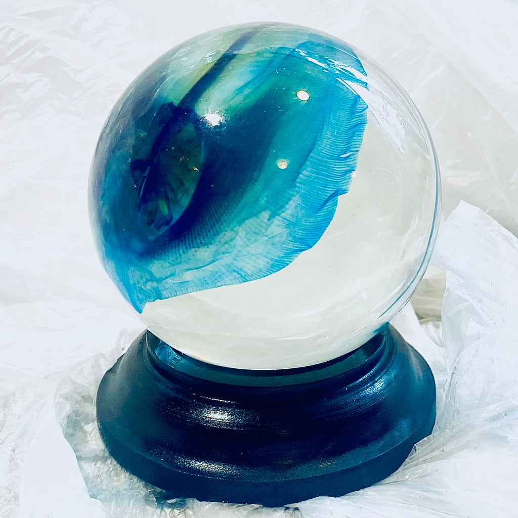 Stingray Globe Diaphonised Wet Specimen
