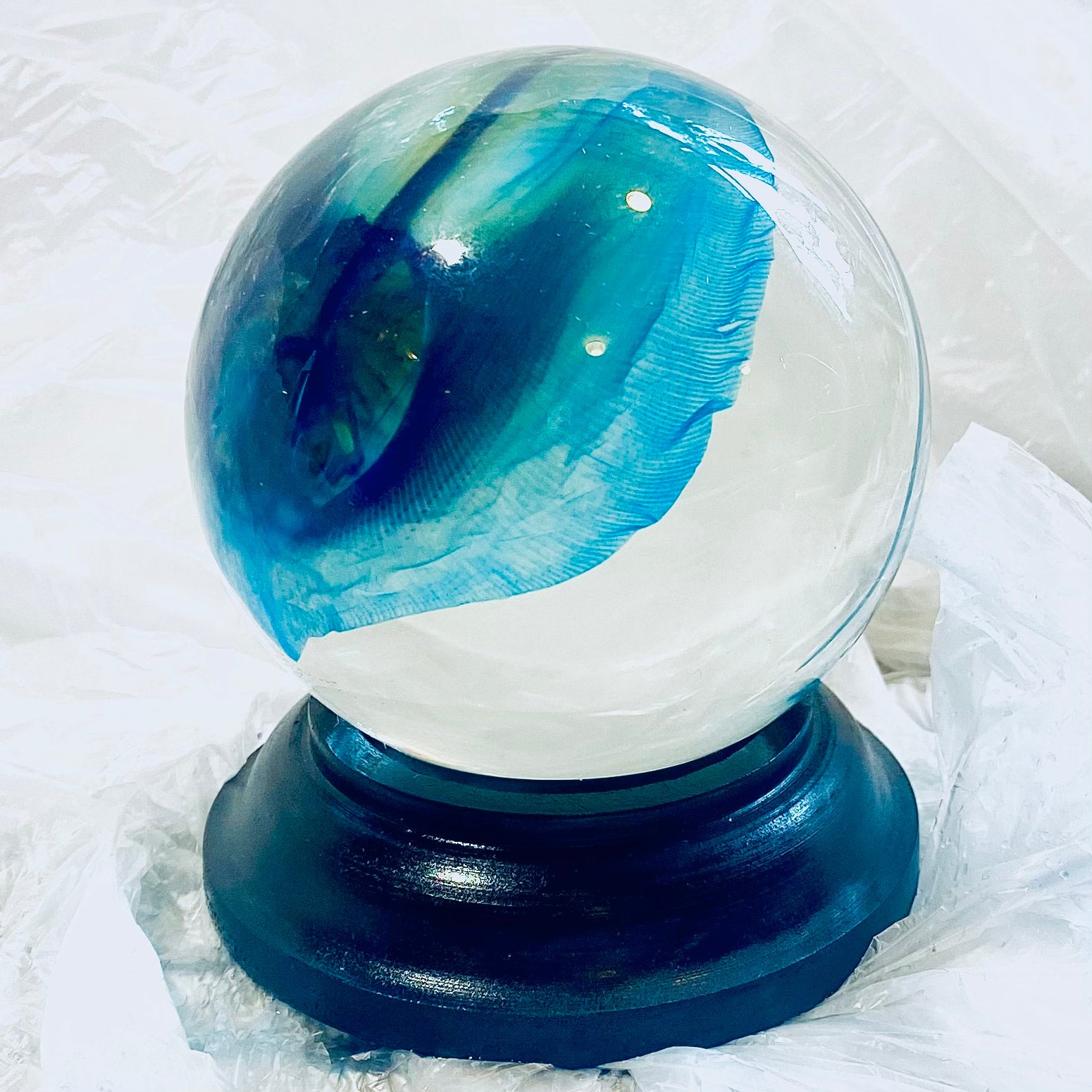 Stingray Globe Diaphonised Wet Specimen