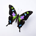 Purple Swallowtail Butterfly Genuine Framed Specimen