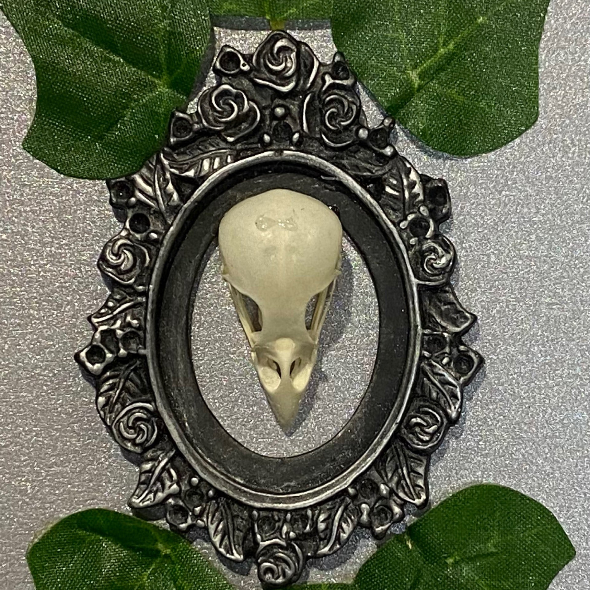 Sparrow Genuine Skull Frame Wall Art