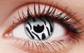 Zebra Contact Lenses