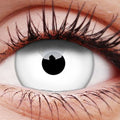 Winter Maiden Contact Lenses