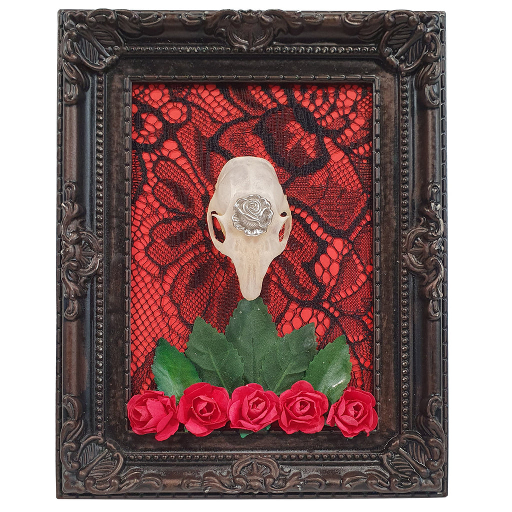 Rosemary’s Intention Squirrel Genuine Skull Wall Decor