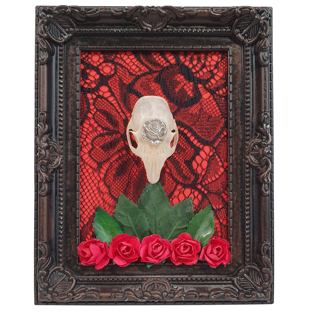 Rosemary’s Intention Squirrel Genuine Skull Wall Decor