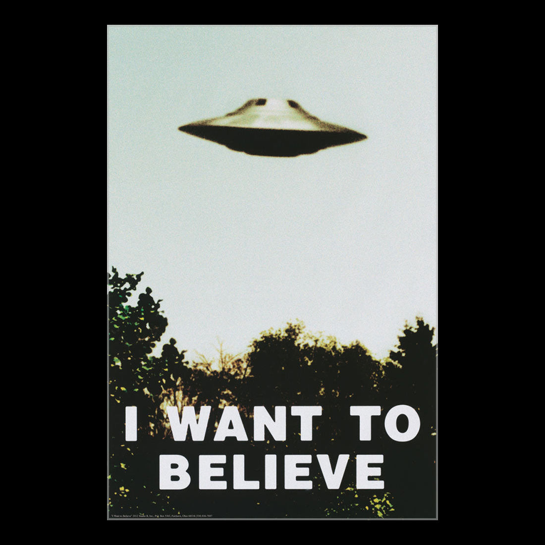 X-Files I Want To Believe Poster 050
