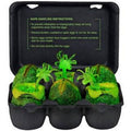 Face Hugger Glow In The Dark Egg Carton
