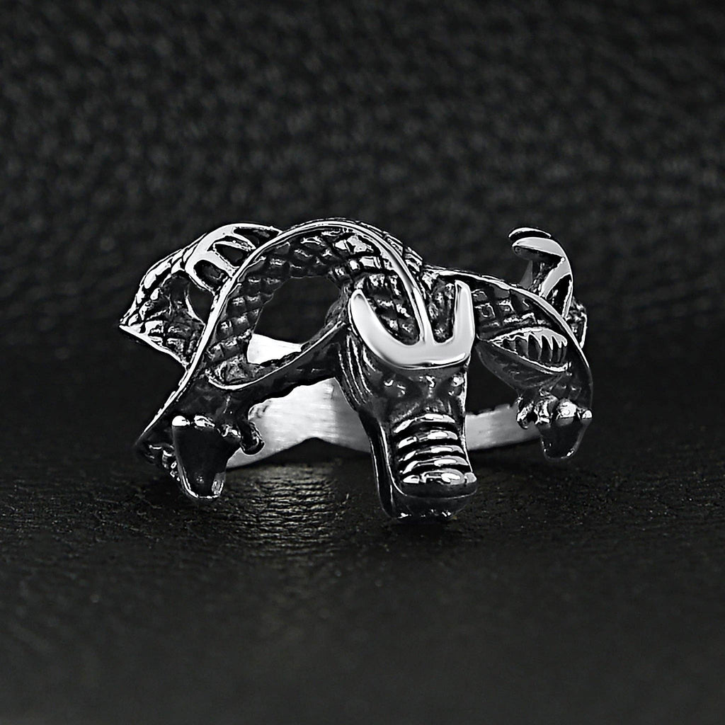 Dragon Defender Ring