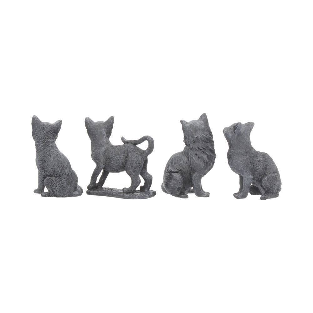 Tiny Lucky Black Cat