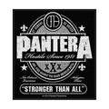 PANTERA Stronger Than All Patch