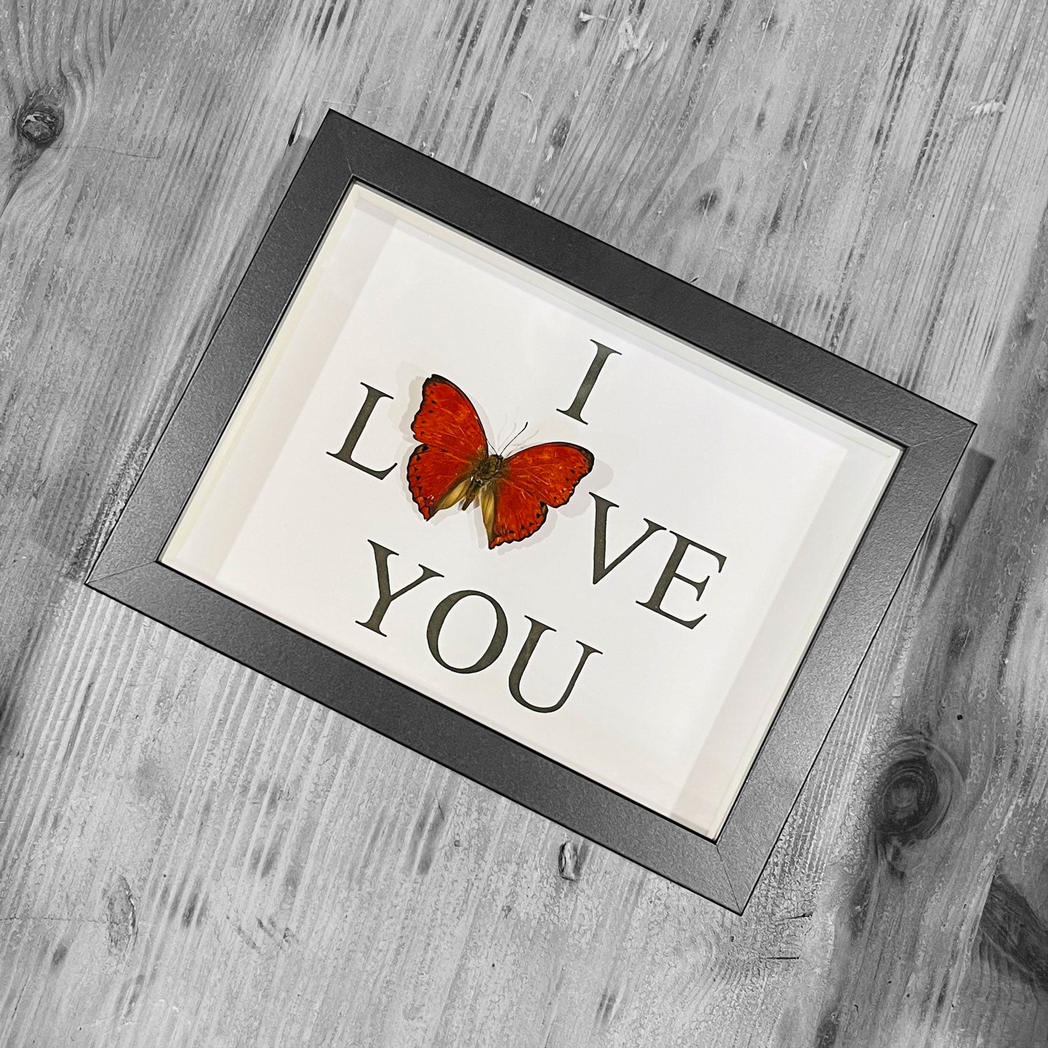 Genuine Butterfly Framed Specimen - Lovers Gift