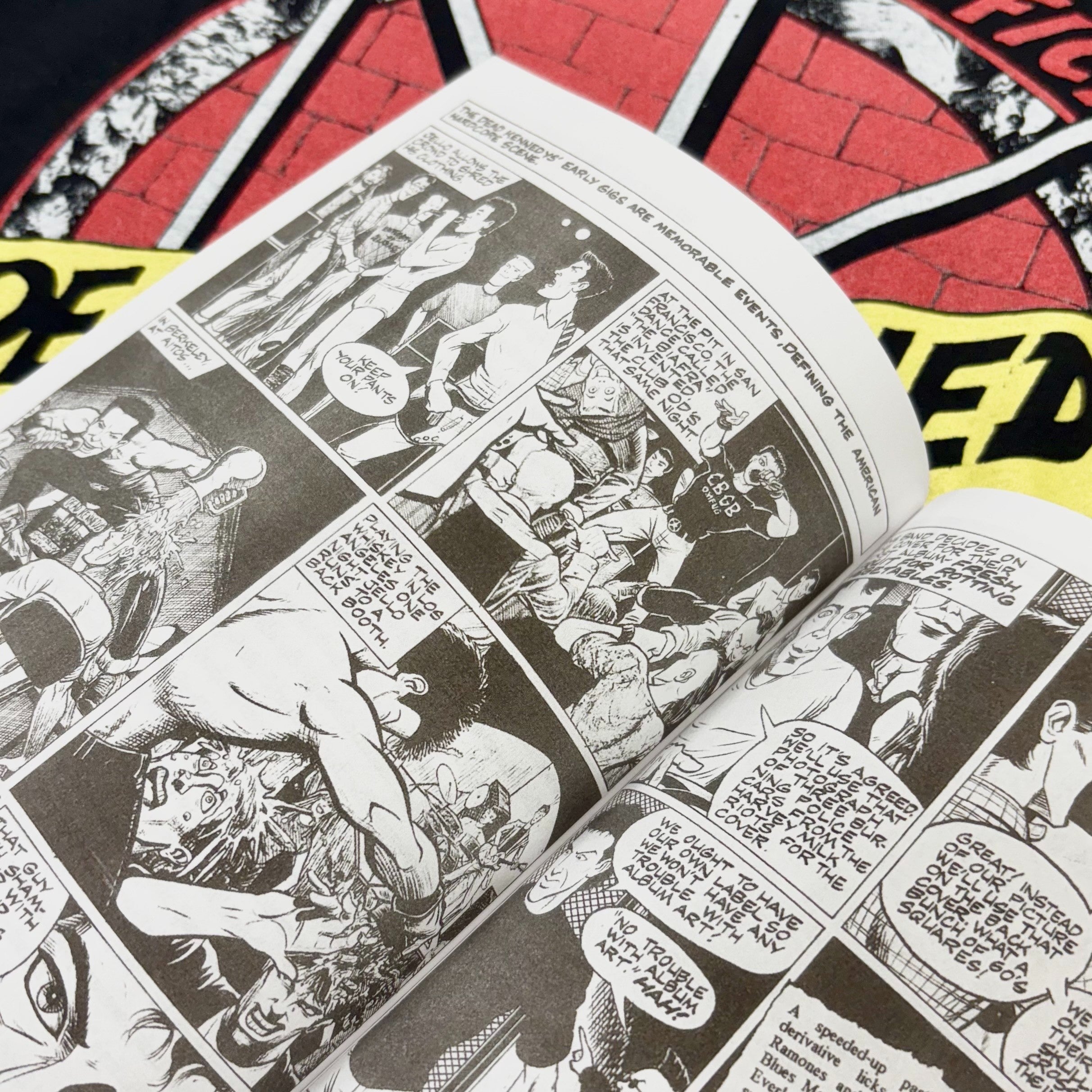 DEAD KENNEDYS: Fresh Fruit for Rotting Vegetables, The Early Years Book