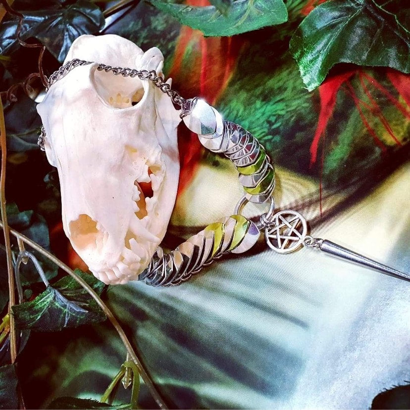 Red Fox Skull