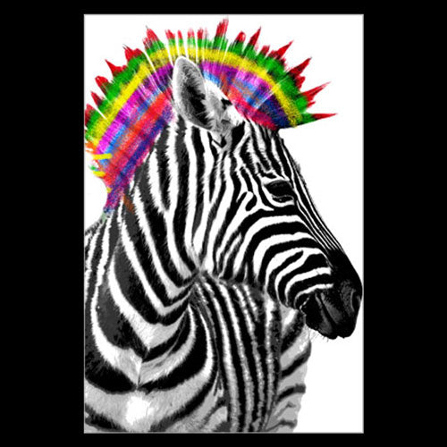 Zebra Punk Poster 218