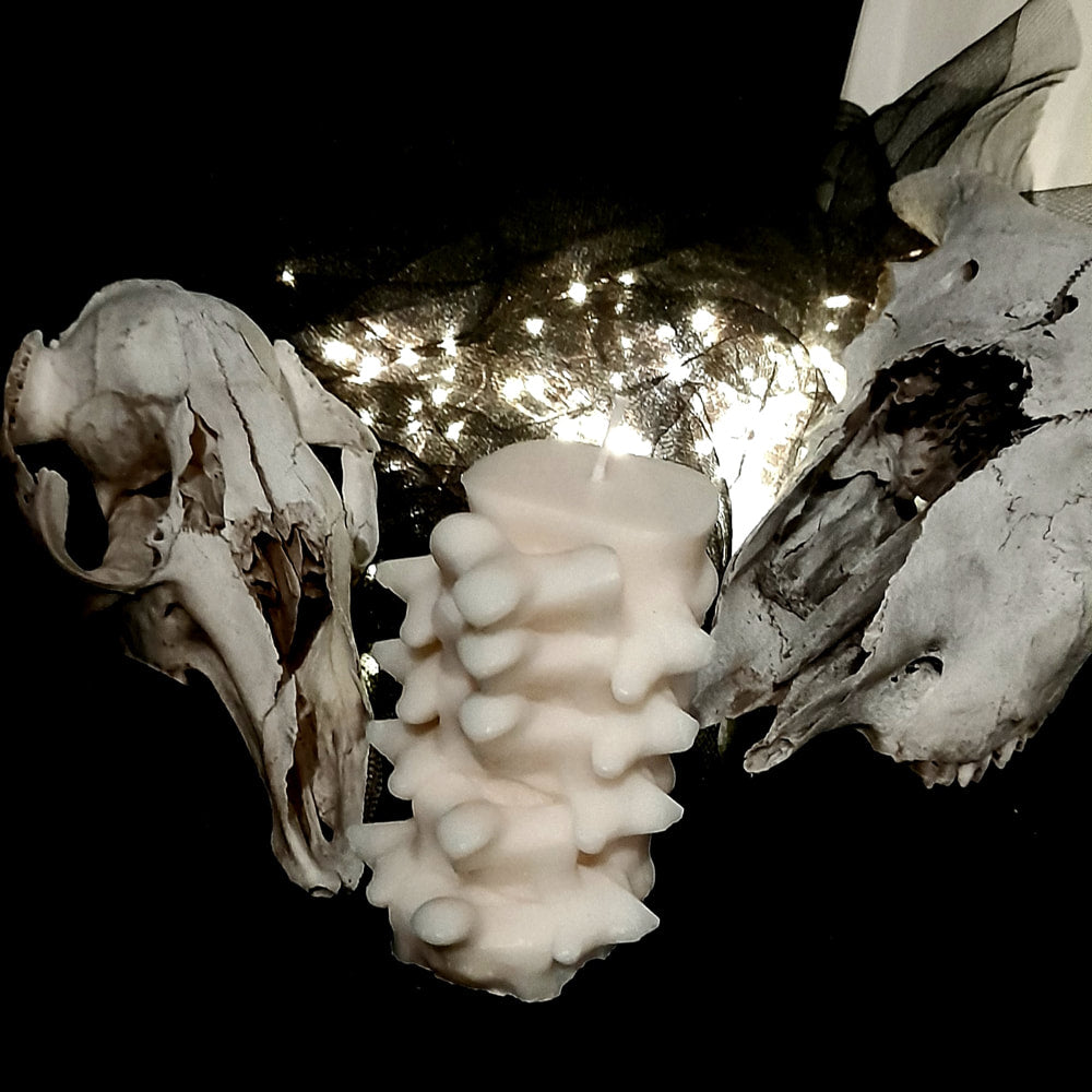 Spineless Pillar Candle
