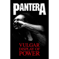 PANTERA Vulgar Display of Power Wall Flag