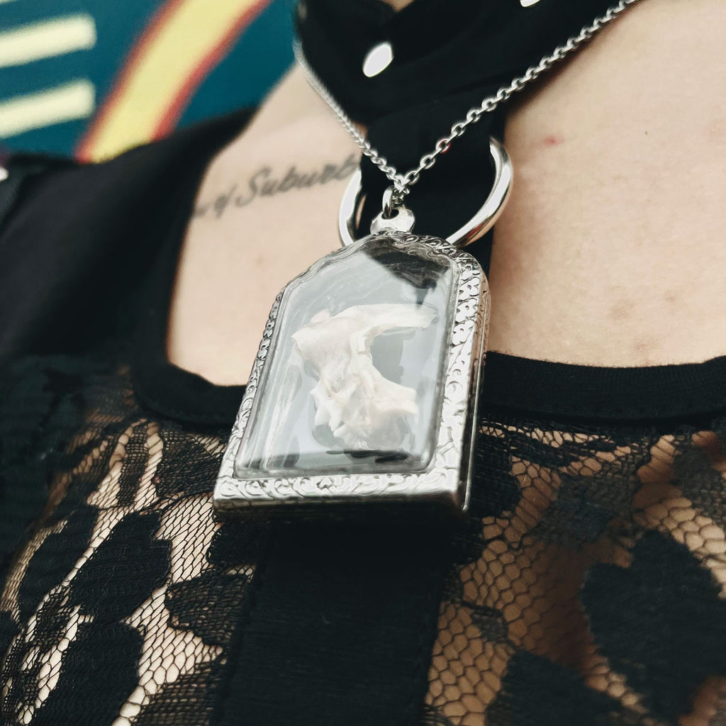 Cat Jawbone Genuine Specimen Necklace