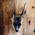 Roe Deer Ink Wall Shield
