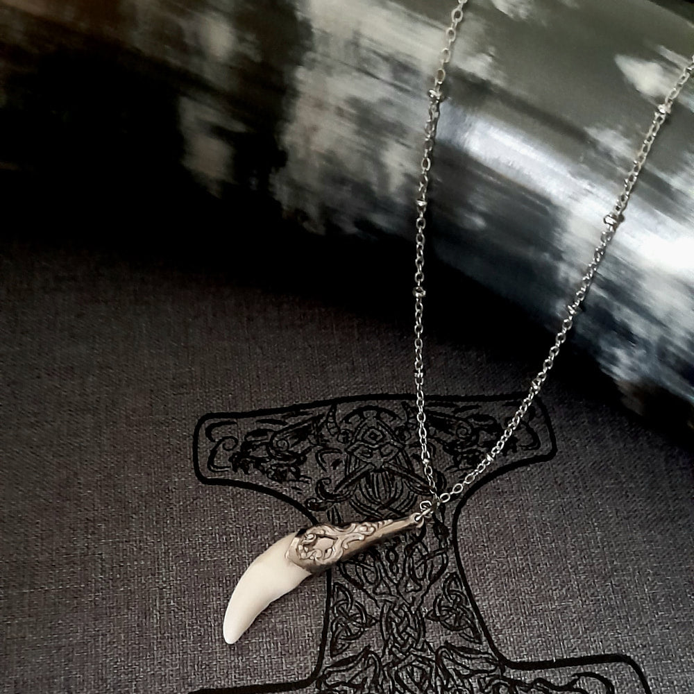 Coyote Tooth Necklace